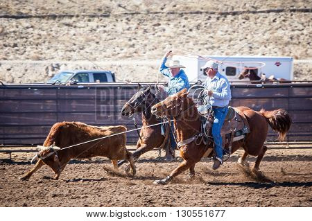 Wickenburg, USA - February 5, 2013: Riders compete in a team roping competition in Wickenburg, Arizona, USA