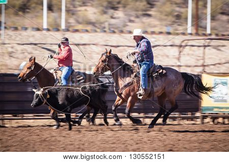 Wickenburg, USA - February 5, 2013: Riders compete in a team roping competition in Wickenburg, Arizona, USA