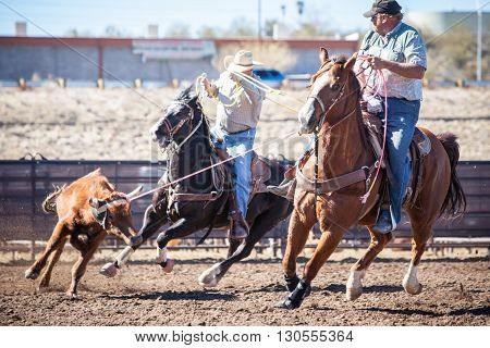 Wickenburg, USA - February 5, 2013: Riders compete in a team roping competition in Wickenburg, Arizona, USA