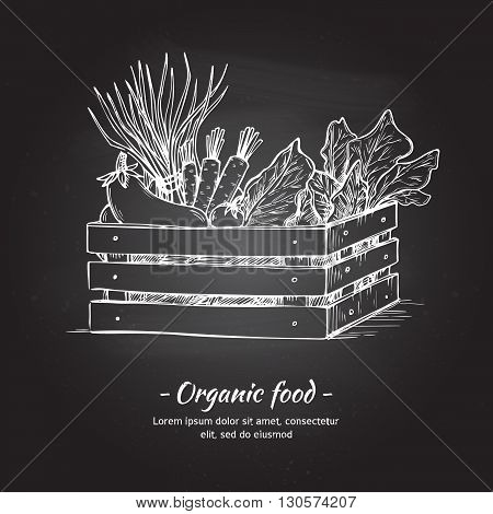 Hand drawn vector illustration -Fresh vegetables. Supermarket. Grocery store. Organic and vegan food. Chalk sketch