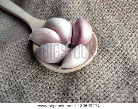 garlic on wooden spoon with old  sack texture