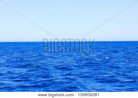 Sea Blue Water Background at Sun Light.