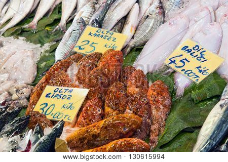 Red scorpionfish at a market in Istanbul, Turkey