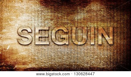 seguin, 3D rendering, text on a metal background
