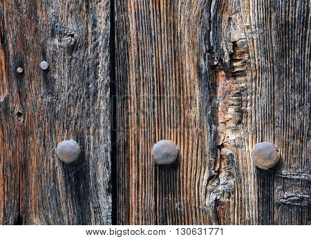 Old rusty bolts heads on the shabby wooden wall