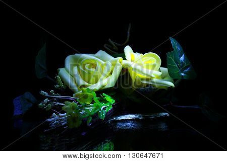 close-up flower rose in black background in dark