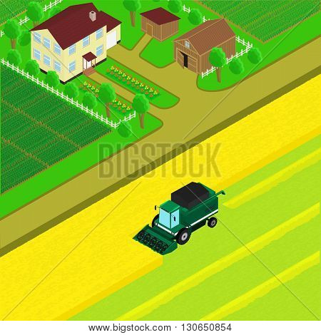 vector illustration. The yard of the farm village road combine harvest the fields. Isometric