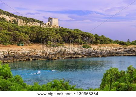 Salento coast. Bay Porto Selvaggio:in the background Dell'Alto watchtower.ITALY (Apulia).