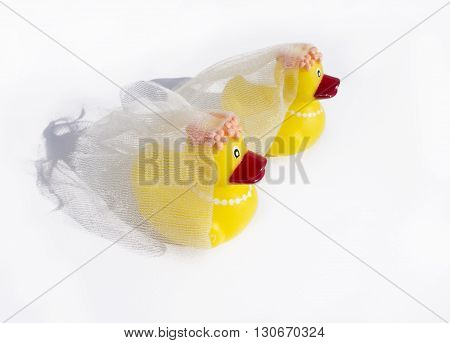 Rubber Ducky Gay Wedding
