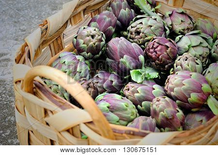 Roman raw artichokes in wicker basket closeup