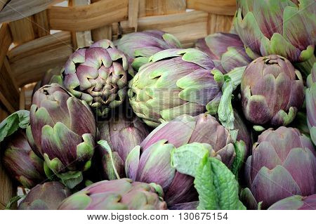 italian raw artichokes in wicker basket macro