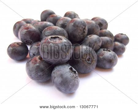 Arándanos