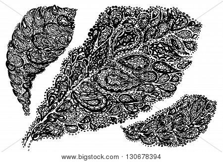 Croton Leaf Illustration In Paisley Style.