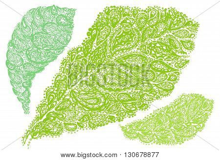 Croton Leaf Illustration In Paisley Style.