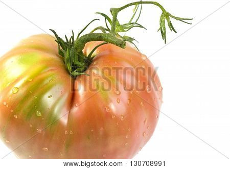 Whole near ripe ox heart tomato Solanum lycopersicum