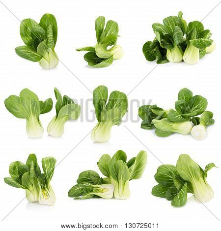 Pok Choi On White Background