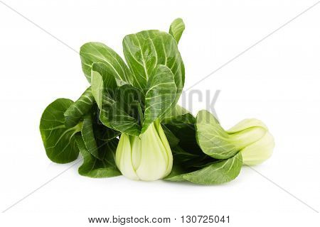 Pok Choi On White Background