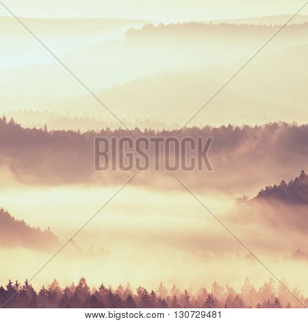 Autumn Sunrise. Beautiful Mountain Of Bohemia. Treetops And Peaks Of Hills Increased From Yellow And