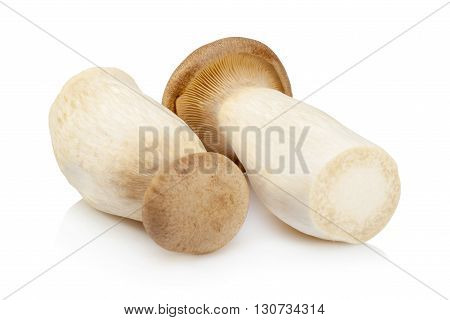 King Oyster Mushroom (eringi) Isolated On White Backgroud.