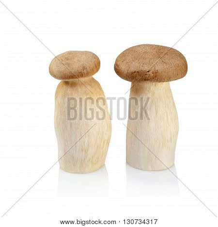 King Oyster Mushroom (eringi) Isolated On White Backgroud.