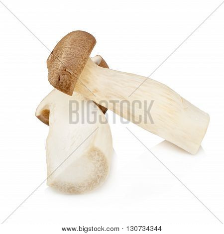 King Oyster Mushroom (eringi) Isolated On White Backgroud.