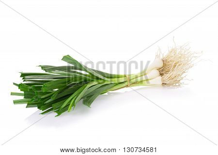 Allium Porrum On White Background
