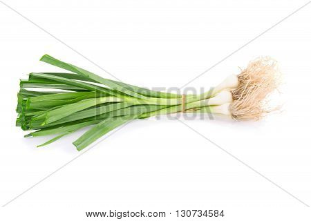 Allium Porrum On White Background