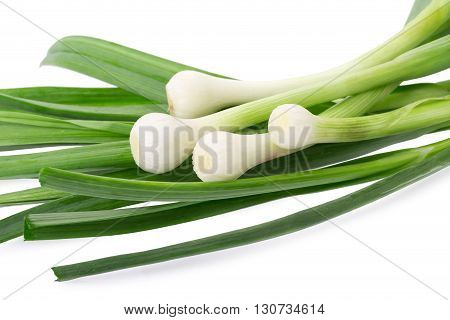 Allium Porrum Isolated On A White Background.