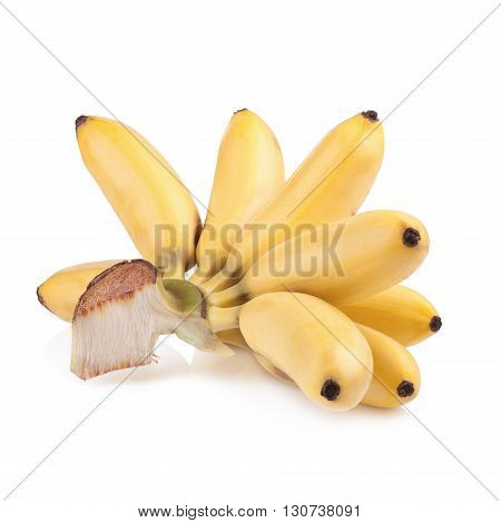 Pisang Mas Isolated On White Background