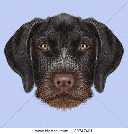 Illustrated Portrait of German Wirehaired Pointer dog. Cute brown face of hunting dog on blue background.
