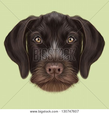 Illustrated Portrait of German Wirehaired Pointer dog. Cute red face of hunting dog on yellow background.
