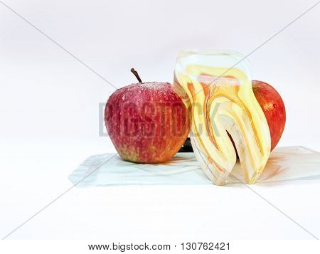 Two Apples and an artficial tooth.Apple good for dental health.An apple a day keep the doctor away.