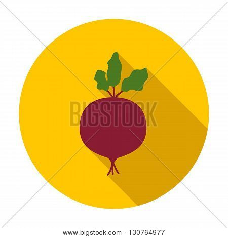 Beetroot Flat Circle Icon