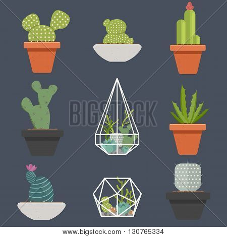 Set of succulent plants and cactuses in pots and glass terrariums. Cartoon Cactus. Flat botanical vector icons.Vector illustration.