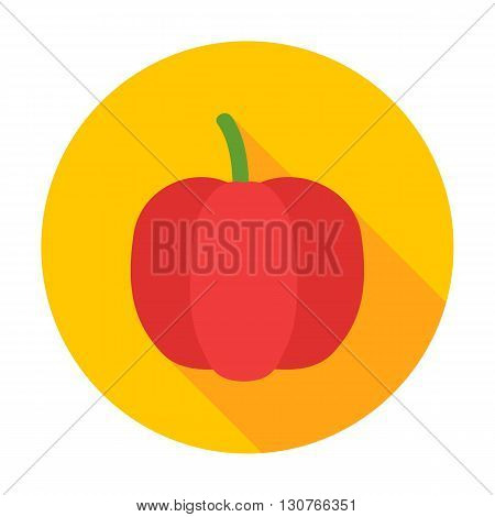 Pepper Flat Circle Icon