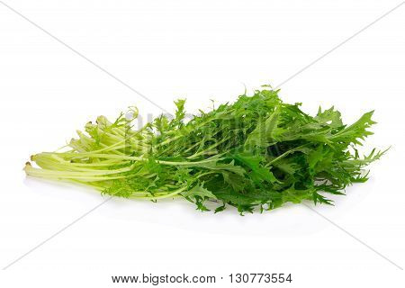Mizuna Greens On White Background