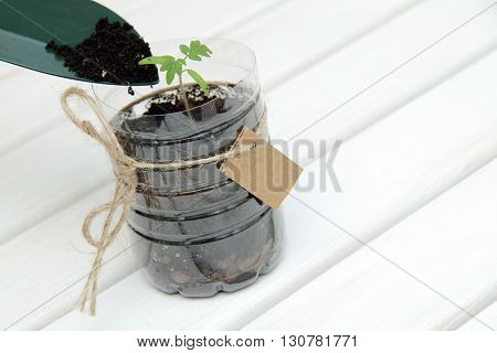 Soil addition to a new plant for good growth