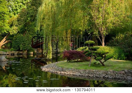 Green island in the middle of the pond. The bridge connects the stony shore. Trees reflected in the water. Beautiful shrubs.