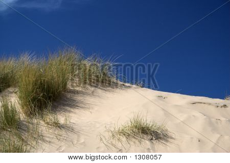Dune di sabbia al sole