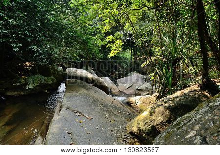 Stream in the jungle near the Mukut beach, Tioman island, Malaysia