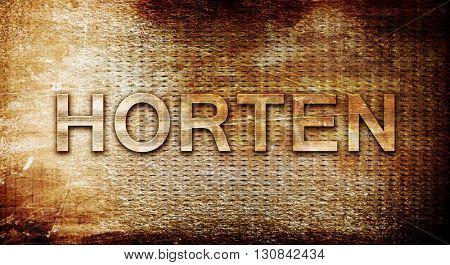 Horten, 3D rendering, text on a metal background