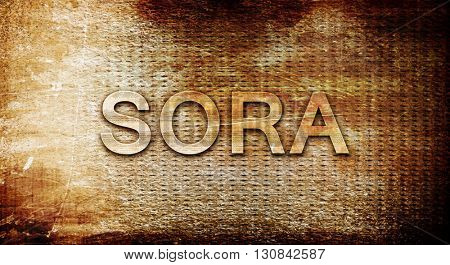Sora, 3D rendering, text on a metal background