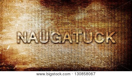 naugatuck, 3D rendering, text on a metal background