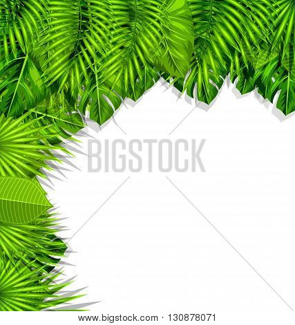 Illustration Summer Nature Background with Green Tropical Leaves - Vector