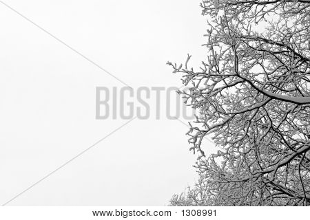 Vinter postkort