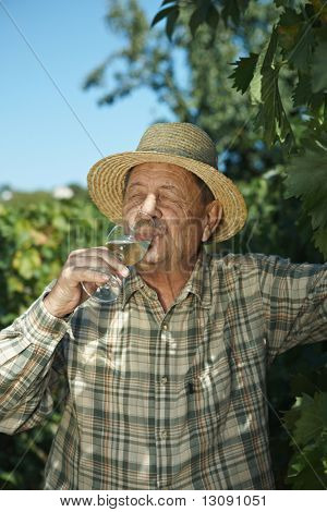 Senior viinikauppias testaus viiniä ulkona vinery.