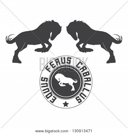 Isolated silhouette of horse and label. Black and white vector illustration.