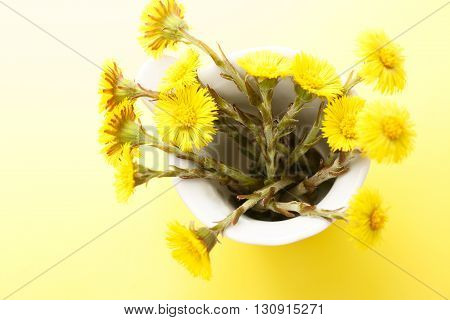 Fresh Spring Flowers Foalfoots