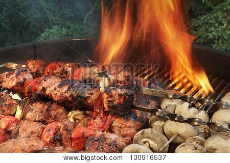 Mixed With Vegetables Kababs And Mushrooms On Flaming Bbq  Grill