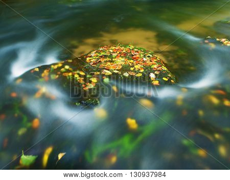 Colorful Aspen Leaves On Boulder In Mountain Stream. Clear Water Blurred By Long Exposure, Reflectio